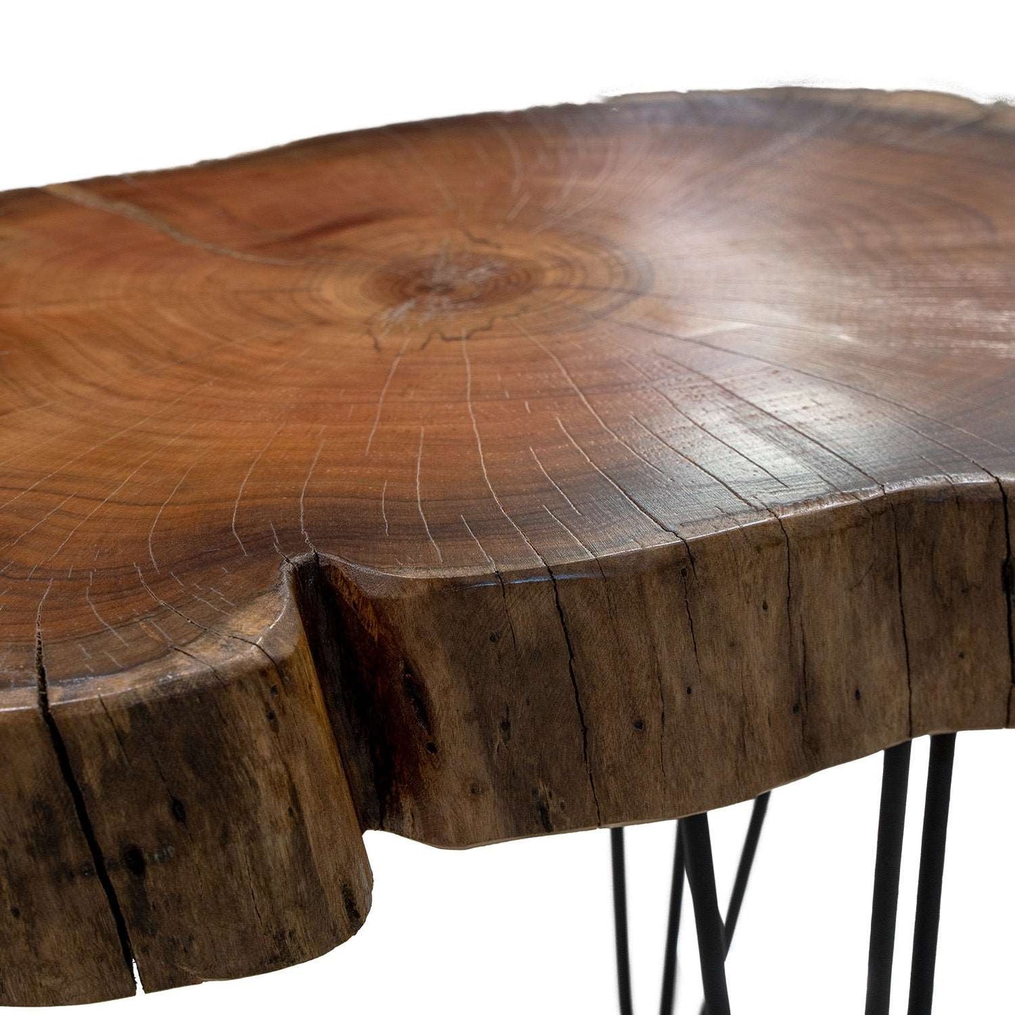 Round Live Edge Side table | Blackwood